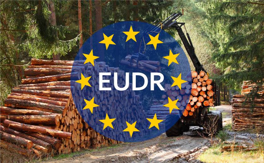 L'EUDR et son impact sur la gestion durable des emballages en bois