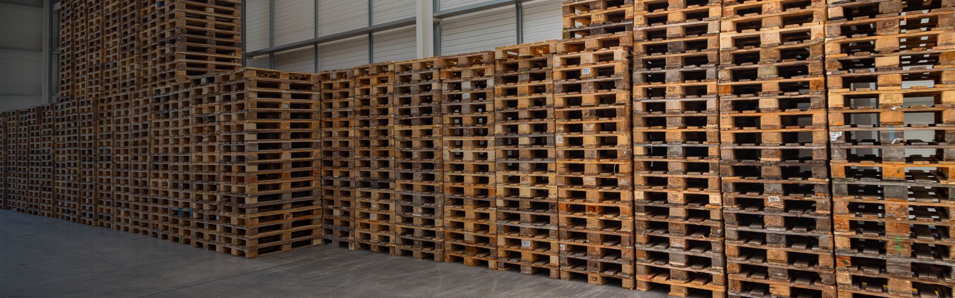 Le premier fournisseur européen de palettes durables | Rotom
